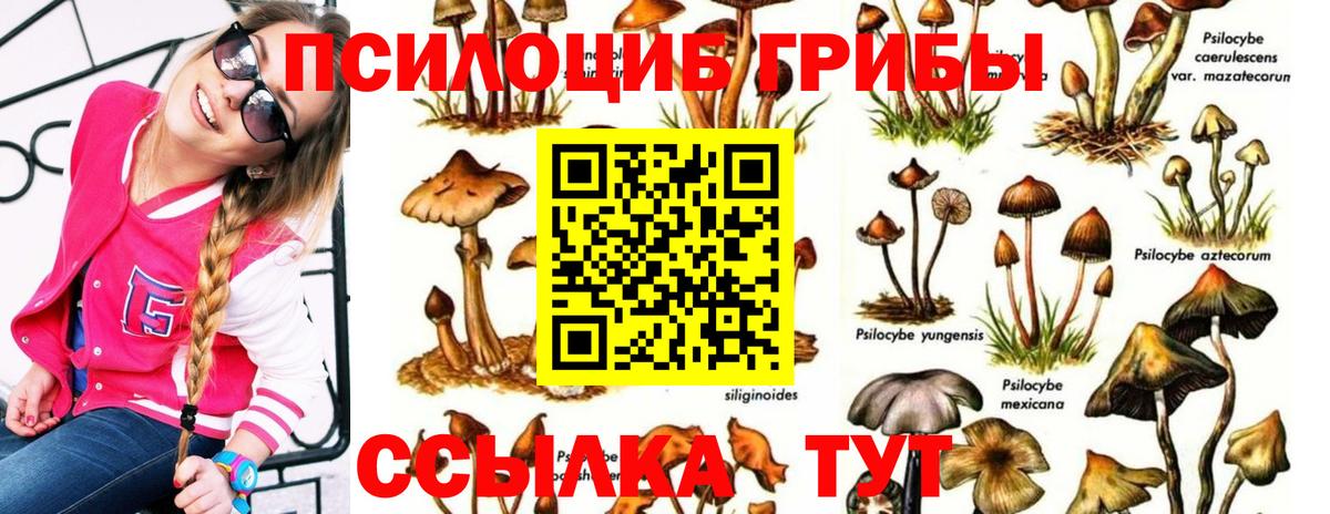 Галлюциногенные грибы мицелий Сунжа