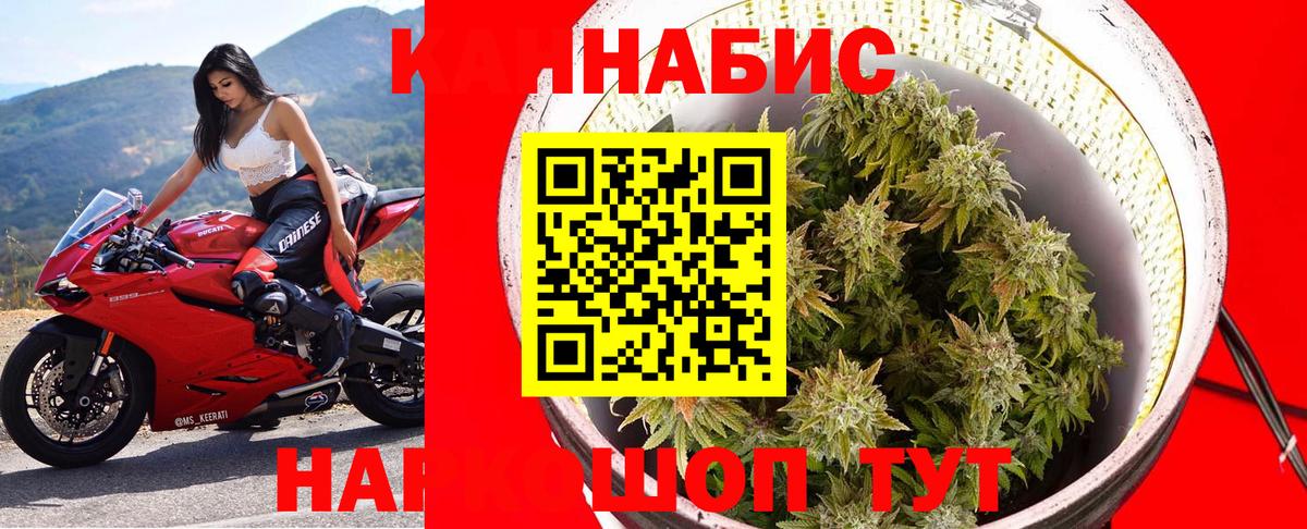 Конопля Ganja  Конопля индика  Вход с VPN  Сунжа  Марихуана ГИДРОПОН 